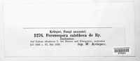 Image Associated With the Occurence